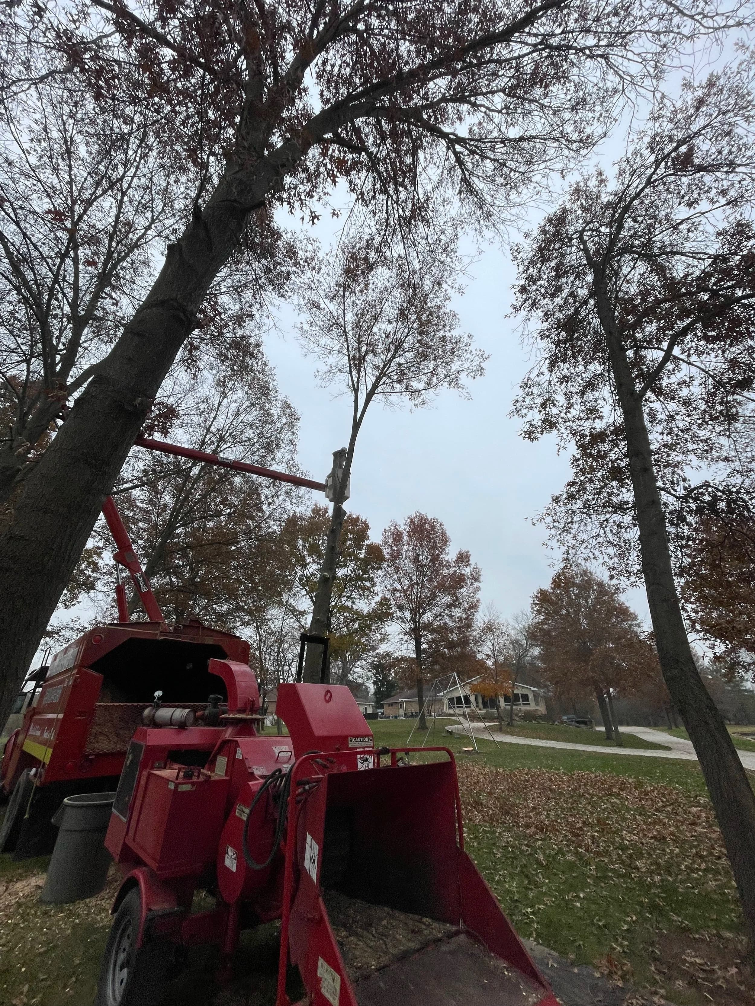 Buckeye Tree Guy tree removal equipment and chipper on a job site